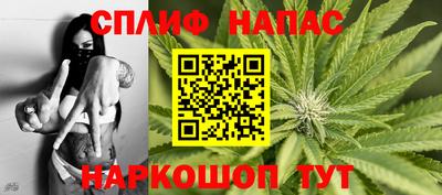 крисы Гагарин