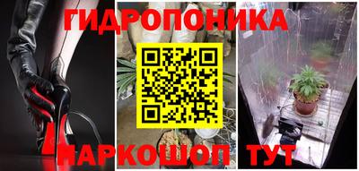 гидра Гатчина