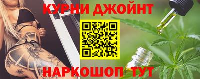 гидра Гатчина
