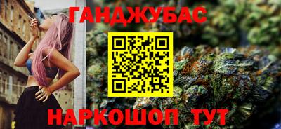 крисы Гагарин