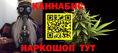 крисы Гагарин