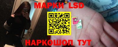 гидра Гатчина