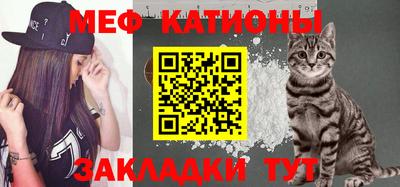 крисы Гагарин