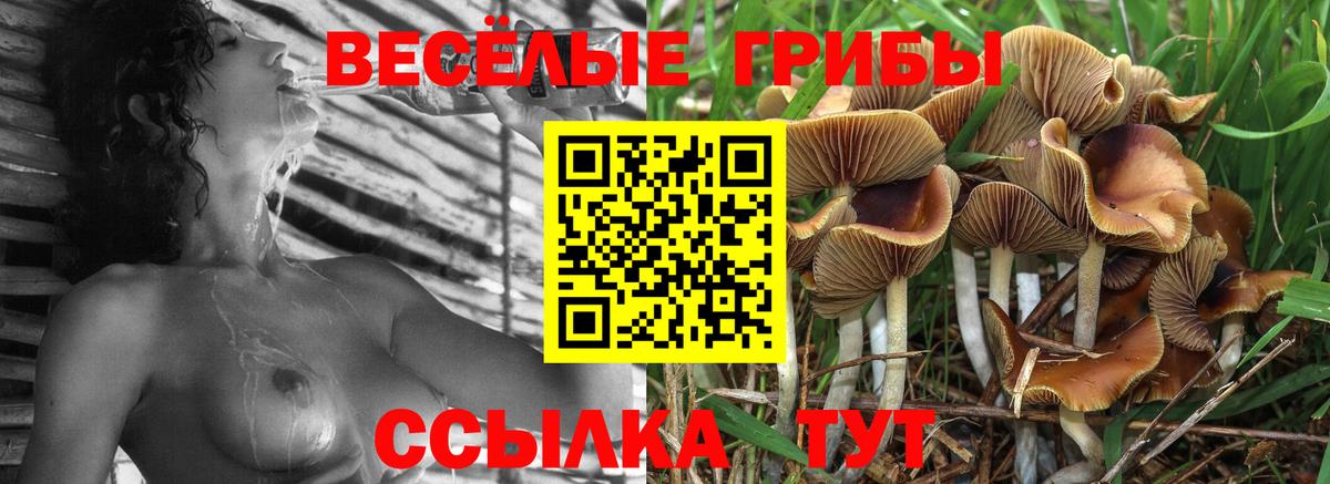 Псилоцибиновые грибы ЛСД Заречный
