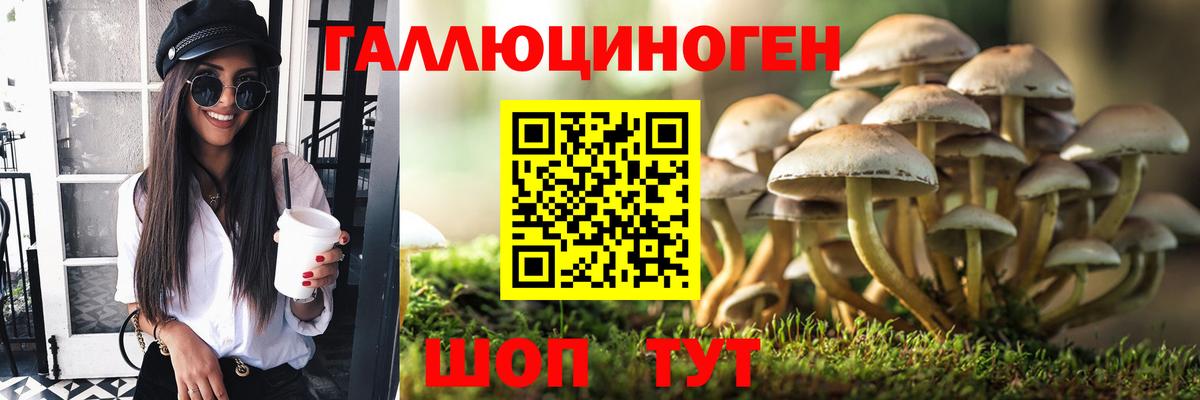 Заречный  Галлюциногенные грибы MAGIC MUSHROOMS  Вход с VPN  купить  сайты  Галлюциногенные грибы MAGIC MUSHROOMS 